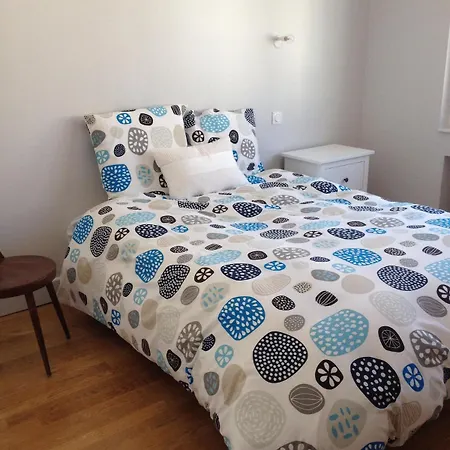 Maison 9 Pers Coeur De Garage Jardin * Vichy